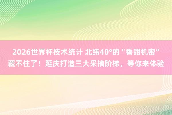 2026世界杯技术统计 北纬40°的“香甜机密”藏不住了！延庆打造三大采摘阶梯，等你来体验