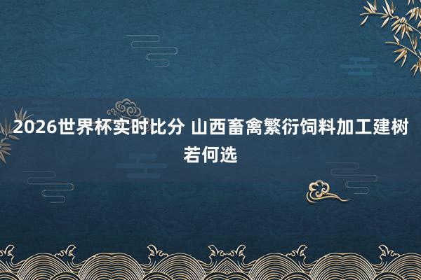 2026世界杯实时比分 山西畜禽繁衍饲料加工建树若何选