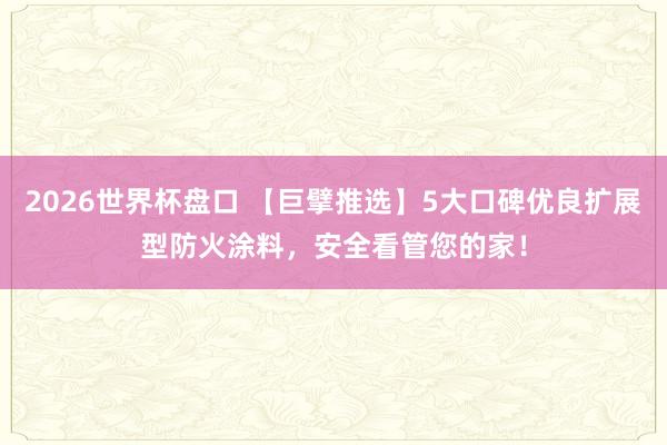 2026世界杯盘口 【巨擘推选】5大口碑优良扩展型防火涂料，安全看管您的家！