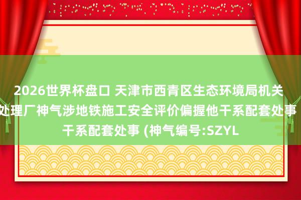 2026世界杯盘口 天津市西青区生态环境局机关 西青成就区浑水处理厂神气涉地铁施工安全评价偏握他干系配套处事 (神气编号:SZYL