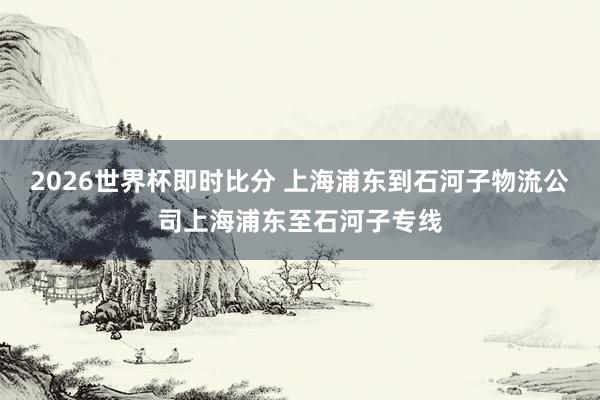 2026世界杯即时比分 上海浦东到石河子物流公司上海浦东至石河子专线