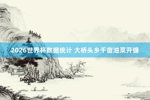 2026世界杯数据统计 大桥头乡千亩油菜开镰