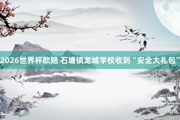 2026世界杯欧赔 石塘镇龙城学校收到“安全大礼包”