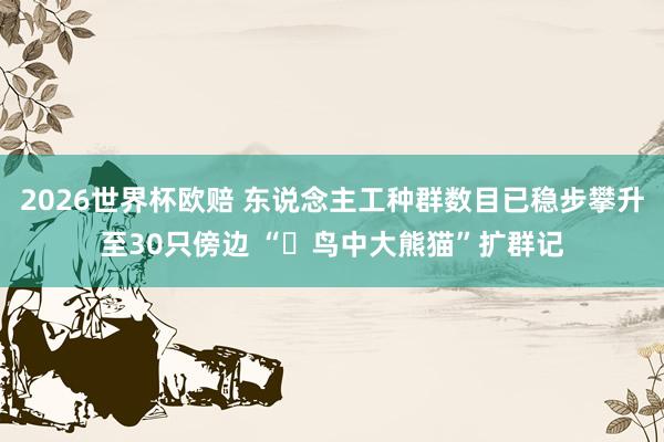 2026世界杯欧赔 东说念主工种群数目已稳步攀升至30只傍边 “​鸟中大熊猫”扩群记