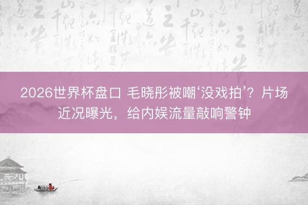 2026世界杯盘口 毛晓彤被嘲‘没戏拍’？片场近况曝光，给内娱流量敲响警钟