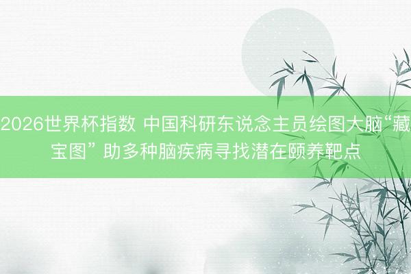 2026世界杯指数 中国科研东说念主员绘图大脑“藏宝图” 助多种脑疾病寻找潜在颐养靶点