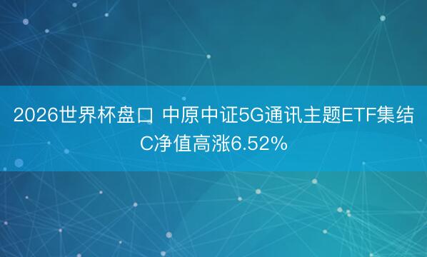 2026世界杯盘口 中原中证5G通讯主题ETF集结C净值高涨6.52%