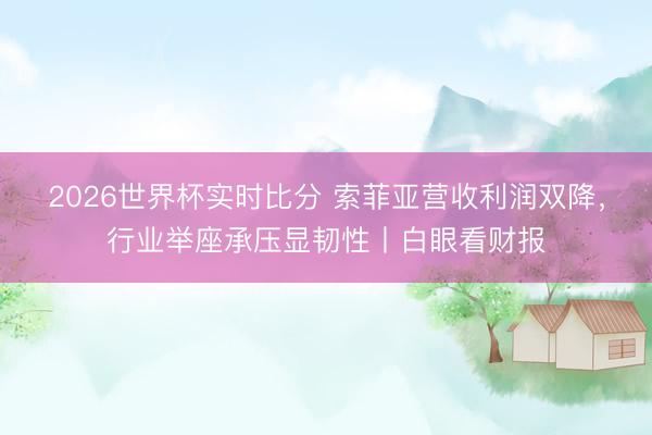 2026世界杯实时比分 索菲亚营收利润双降,行业举座承压显韧性丨白眼看财报